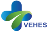 logo-vehes